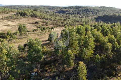 Helårsgrund i Castelo Branco, Castelo Branco, Castelo Branco - € 44.000 | Ref: H790 - foto 2