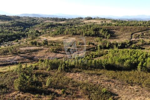 Helårsgrund i Castelo Branco, Castelo Branco, Castelo Branco - € 44.000 | Ref: H790 - foto 11
