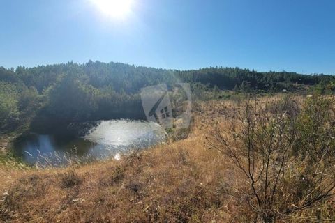 Helårsgrund i Castelo Branco, Castelo Branco, Castelo Branco - € 44.000 | Ref: H790 - foto 14