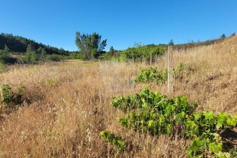 Helårsgrund i Castelo Branco, Castelo Branco, Castelo Branco - € 44.000 | Ref: H790 - foto 17