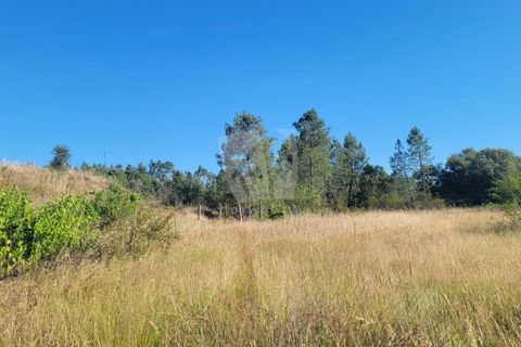 Helårsgrund i Castelo Branco, Castelo Branco, Castelo Branco - € 44.000 | Ref: H790 - foto 23