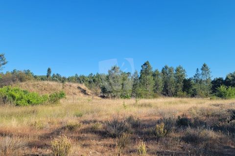 Helårsgrund i Castelo Branco, Castelo Branco, Castelo Branco - € 44.000 | Ref: H790 - foto 24