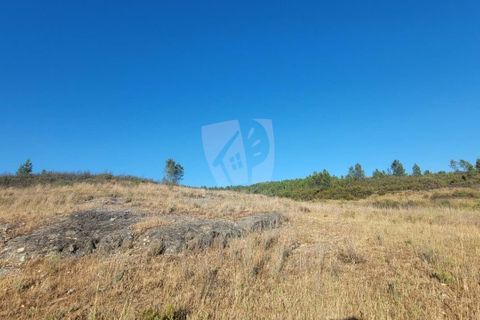 Helårsgrund i Castelo Branco, Castelo Branco, Castelo Branco - € 44.000 | Ref: H790 - foto 26