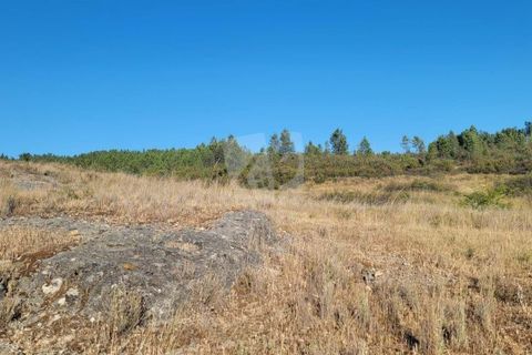Helårsgrund i Castelo Branco, Castelo Branco, Castelo Branco - € 44.000 | Ref: H790 - foto 27