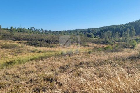 Helårsgrund i Castelo Branco, Castelo Branco, Castelo Branco - € 44.000 | Ref: H790 - foto 29