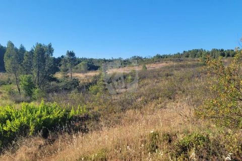 Helårsgrund i Castelo Branco, Castelo Branco, Castelo Branco - € 44.000 | Ref: H790 - foto 32