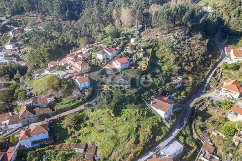 Villa i Viana do Castelo, Viana do Castelo, Viana do Castelo - € 108.000 | Ref: ZMPT583166 - foto 18