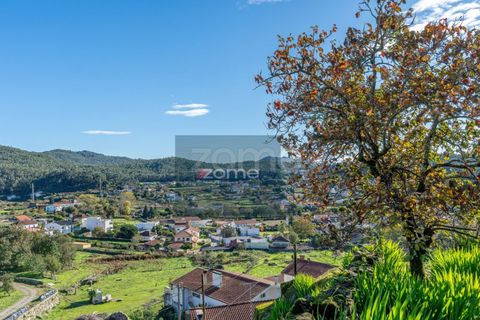Villa i Viana do Castelo, Viana do Castelo, Viana do Castelo - € 108.000 | Ref: ZMPT583166 - foto 22