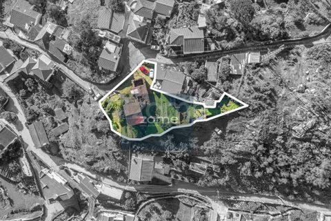 Villa i Viana do Castelo, Viana do Castelo, Viana do Castelo - € 108.000 | Ref: ZMPT583166 - foto 23