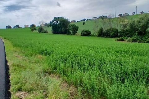 Tomt i Monte San Giusto, Macerata, Monte San Giusto - € 98 000 | Ref: MC3-55786 - foto 8