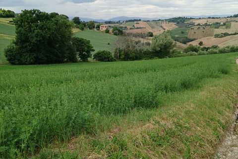 Tomt i Monte San Giusto, Macerata, Monte San Giusto - € 98 000 | Ref: MC3-55786 - foto 10