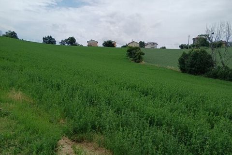Tomt i Monte San Giusto, Macerata, Monte San Giusto - € 98 000 | Ref: MC3-55786 - foto 2