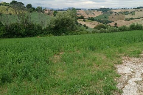 Tomt i Monte San Giusto, Macerata, Monte San Giusto - € 98 000 | Ref: MC3-55786 - foto 5