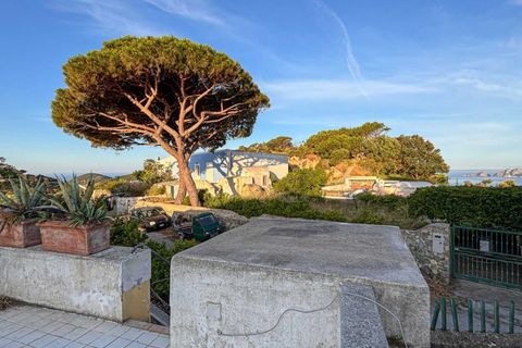 Villa i Ponza, Latina, Ponza - € 430.000 | Ref: PZ8326M-1368074 - foto 29