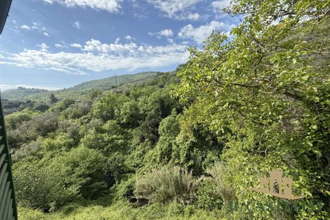 Villa a Piegaro, Perugia, Piegaro - € 47.000 | Ref: Ci309-1368852 - foto 7
