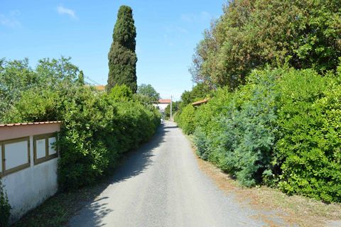 Farm hus i Cecina, Livorno, Cecina - € 1.280.000 | Ref: A9591MF146-1369032 - foto 15
