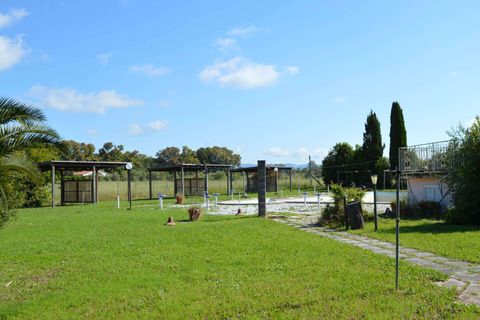 Farm hus i Cecina, Livorno, Cecina - € 1.280.000 | Ref: A9591MF146-1369032 - foto 22