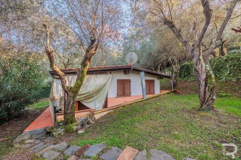 Villa i Camaiore, Lucca, Camaiore - € 615.000 | Ref: R06678CAVI-1369510 - foto 17