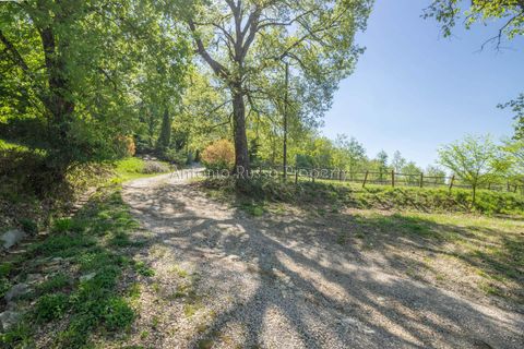 Villa a Scansano, Grosseto, Scansano - € 800.000 | Ref: R49-1370180 - foto 13