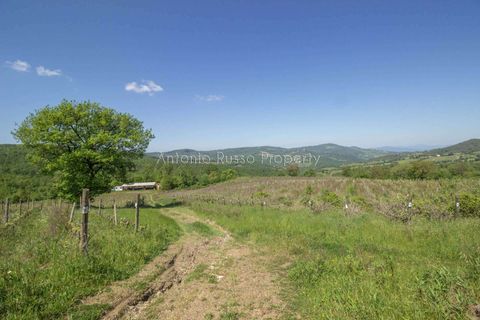 Villa a Scansano, Grosseto, Scansano - € 800.000 | Ref: R49-1370180 - foto 17
