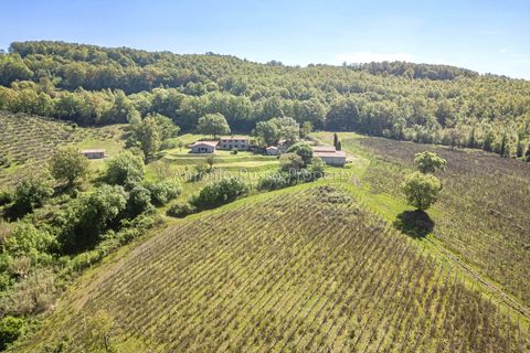 Villa a Scansano, Grosseto, Scansano - € 800.000 | Ref: R49-1370180 - foto 19
