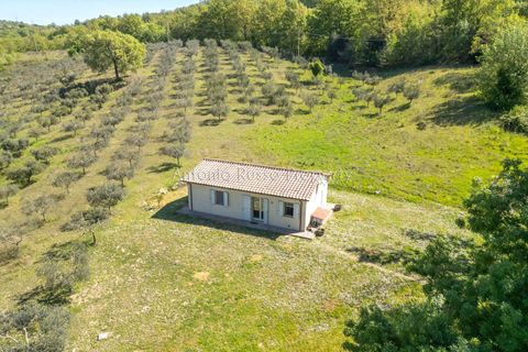 Villa a Scansano, Grosseto, Scansano - € 365.000 | Ref: R51-1370201 - foto 2