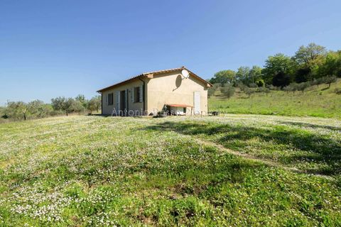 Villa a Scansano, Grosseto, Scansano - € 365.000 | Ref: R51-1370201 - foto 4