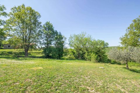 Villa a Scansano, Grosseto, Scansano - € 365.000 | Ref: R51-1370201 - foto 12