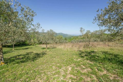Villa a Scansano, Grosseto, Scansano - € 365.000 | Ref: R51-1370201 - foto 13