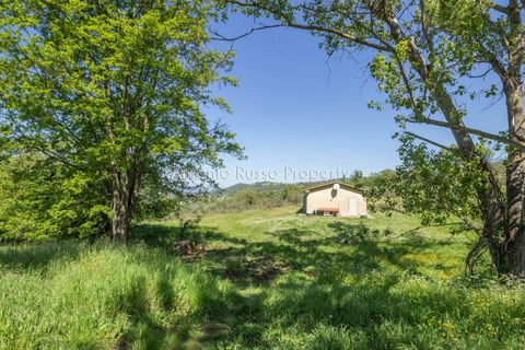 Villa a Scansano, Grosseto, Scansano - € 365.000 | Ref: R51-1370201 - foto 15
