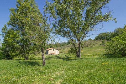 Villa a Scansano, Grosseto, Scansano - € 365.000 | Ref: R51-1370201 - foto 16