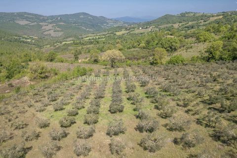 Villa a Scansano, Grosseto, Scansano - € 365.000 | Ref: R51-1370201 - foto 21