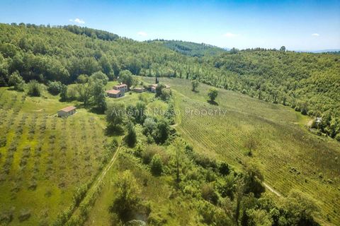 Villa a Scansano, Grosseto, Scansano - € 365.000 | Ref: R51-1370201 - foto 22