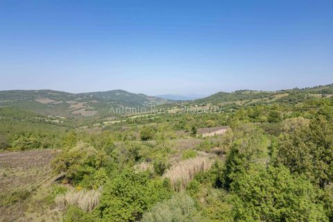 Villa a Scansano, Grosseto, Scansano - € 365.000 | Ref: R51-1370201 - foto 23