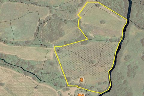Villa a Scansano, Grosseto, Scansano - € 365.000 | Ref: R51-1370201 - foto 25