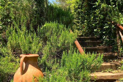 Farm hus i Calleta, Arezzo, Calleta - € 1.200.000 | Ref: DELIS1-1370356 - foto 10