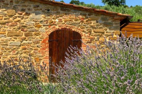 Farm hus i Calleta, Arezzo, Calleta - € 1.200.000 | Ref: DELIS1-1370356 - foto 13