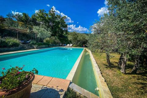 Farm hus i Calleta, Arezzo, Calleta - € 1.200.000 | Ref: DELIS1-1370356 - foto 17