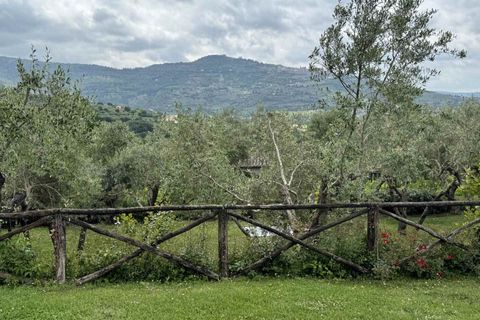Farm hus i Calleta, Arezzo, Calleta - € 1.200.000 | Ref: DELIS1-1370356 - foto 25