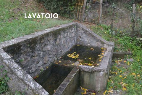 Villa i Roccatederighi, Grosseto, Roccatederighi - € 198.000 | Ref: 41741006-40-1370484 - foto 15