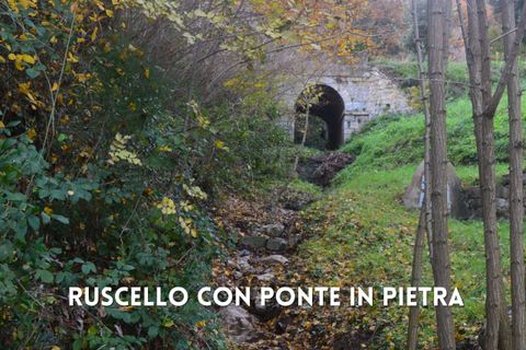 Villa i Roccatederighi, Grosseto, Roccatederighi - € 198.000 | Ref: 41741006-40-1370484 - foto 16