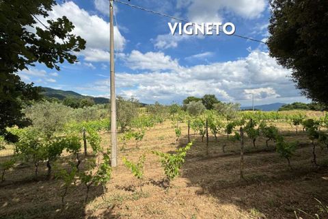 Villa i Roccatederighi, Grosseto, Roccatederighi - € 198.000 | Ref: 41741006-40-1370484 - foto 20