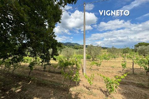 Villa i Roccatederighi, Grosseto, Roccatederighi - € 198.000 | Ref: 41741006-40-1370484 - foto 21