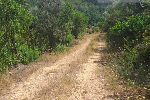 Helårsgrund i Arganil, Coimbra, Arganil - € 35.000 | Ref: 715 - foto 3