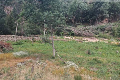 Helårsgrund i Arganil, Coimbra, Arganil - € 35.000 | Ref: 715 - foto 10