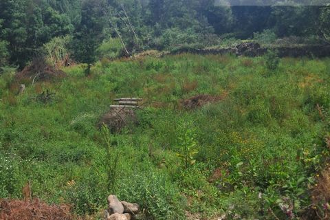 Helårsgrund i Arganil, Coimbra, Arganil - € 35.000 | Ref: 715 - foto 11