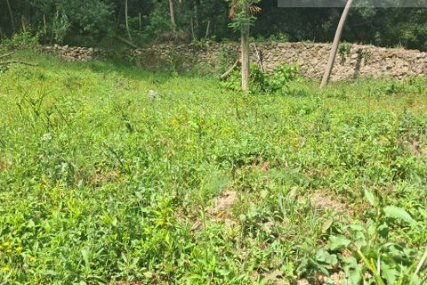 Helårsgrund i Arganil, Coimbra, Arganil - € 35.000 | Ref: 715 - foto 12