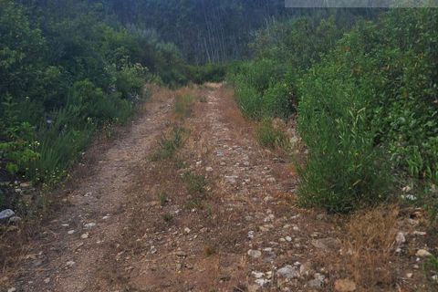 Helårsgrund i Arganil, Coimbra, Arganil - € 35.000 | Ref: 715 - foto 15