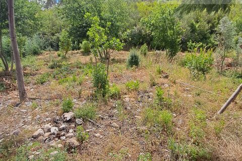 Helårsgrund i Arganil, Coimbra, Arganil - € 35.000 | Ref: 715 - foto 21