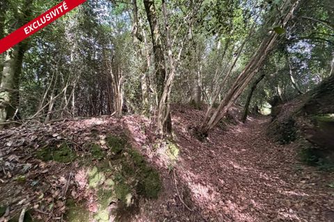 Helårsgrund i Molac, Morbihan, Molac - € 24.000 | Ref: 205191 - foto 2